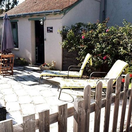 הוילה Châteauvieux La Taniere Du Loupblanc, 8Mn Du Zoo De Beauval מראה חיצוני תמונה
